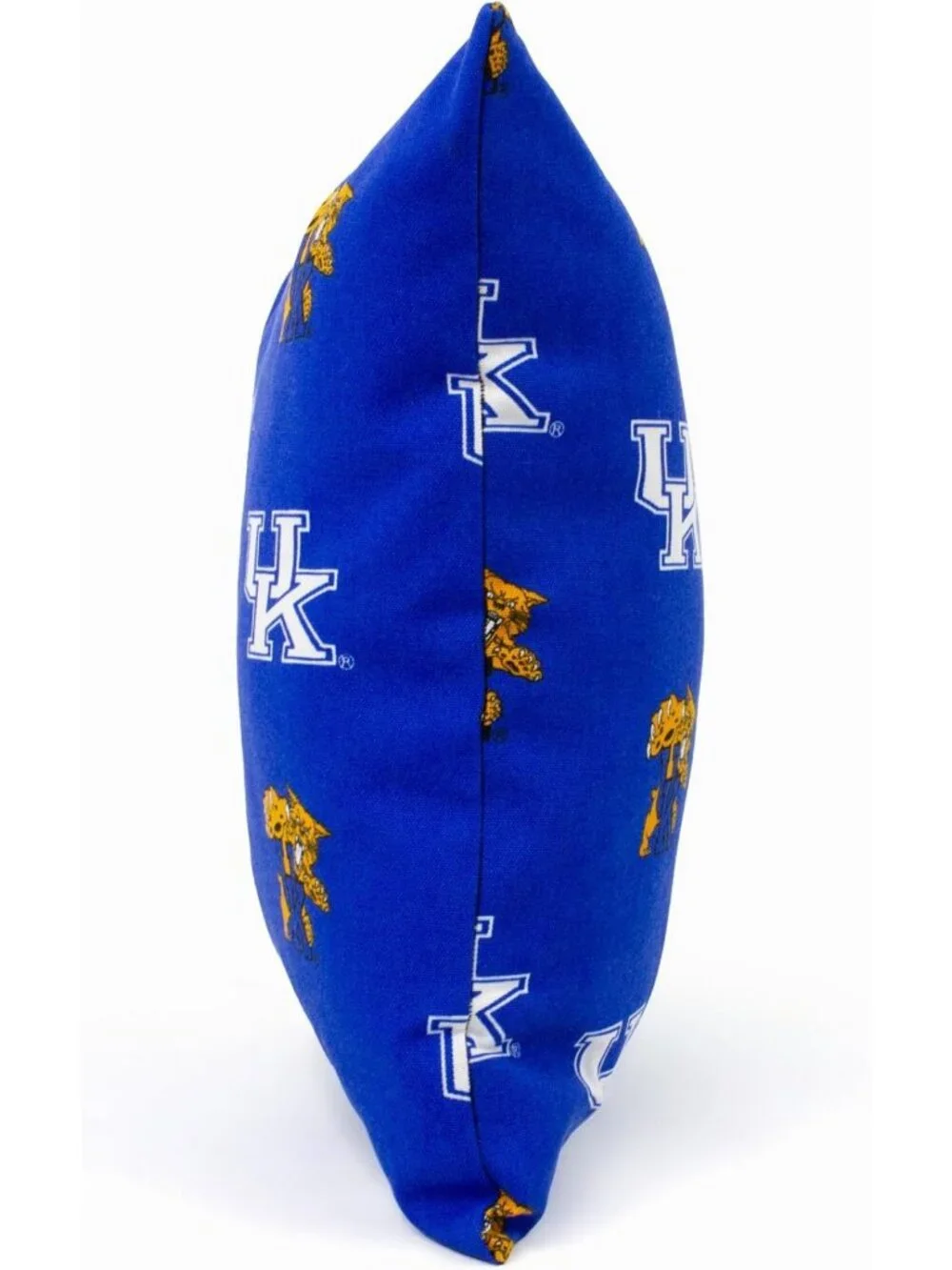 Kentucky Wildcats Outdoor Decorative Throw Pillow, 16x16, Cozy Home Accent